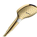 Raindance Select E Handbrause 120 3jet Gold poliert
