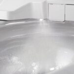 Dusch-WC TOTO Washlet Neorest EW 2.0