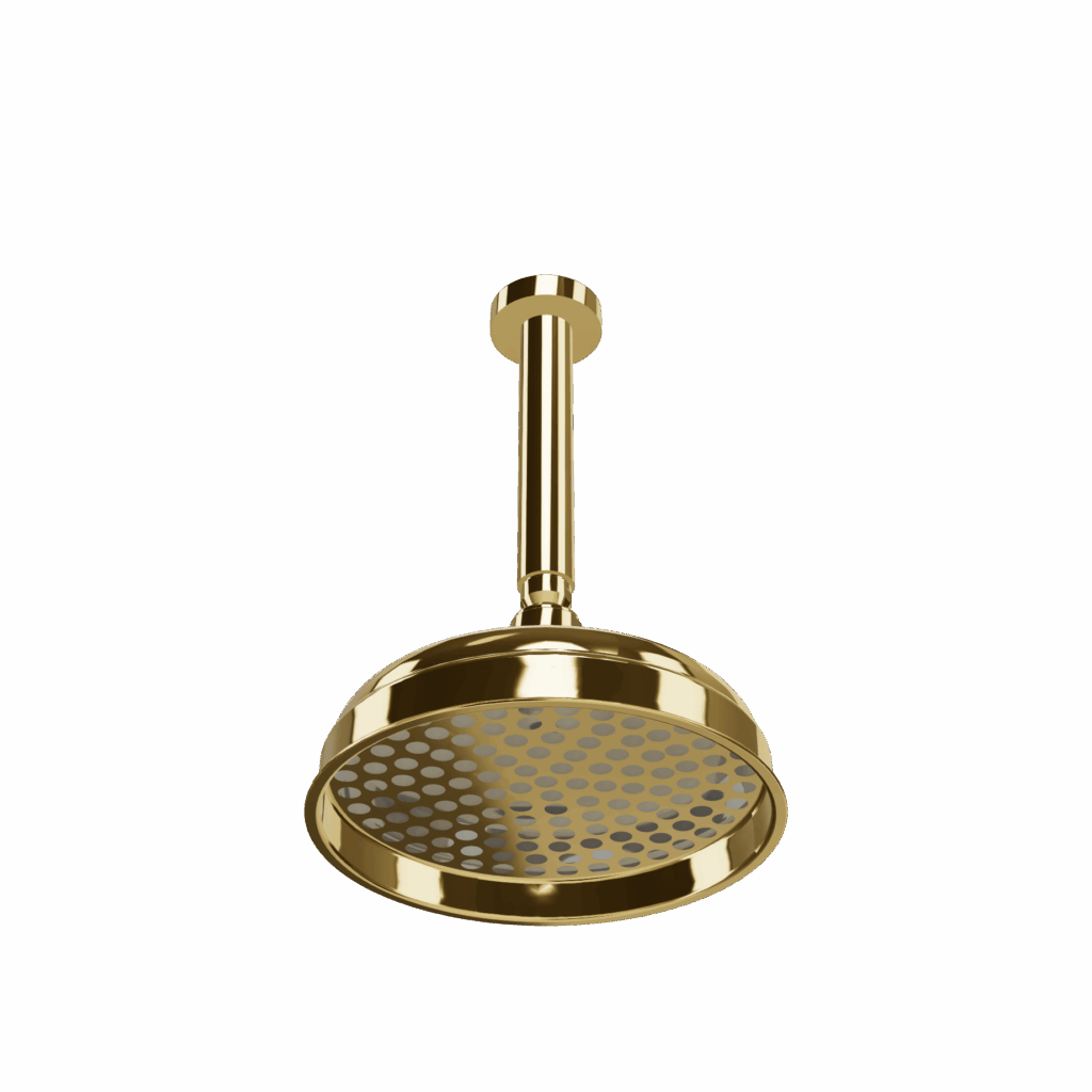 Kopfbrause retro Treemme Romantica D=20cm Gold glanz