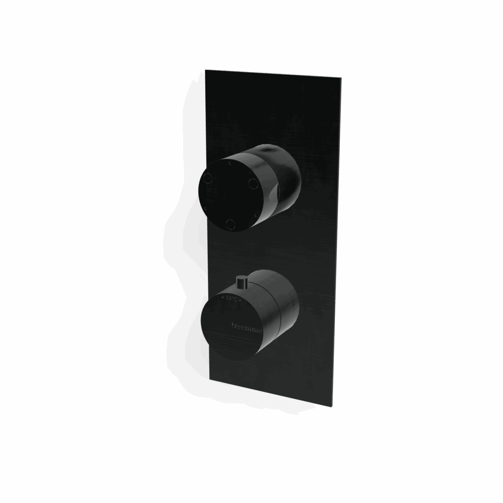 Mischer für Dusche Edelstahl Rund UP Treemme 40 mm PVD Schwarz