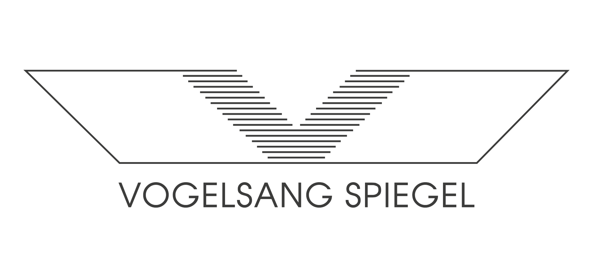Vogelsang Spiegel Logo