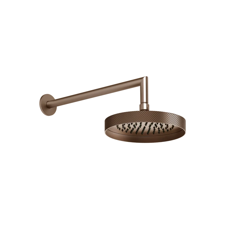Kopfbrause mit Gelenk und Wandarm 218 Gessi Anello