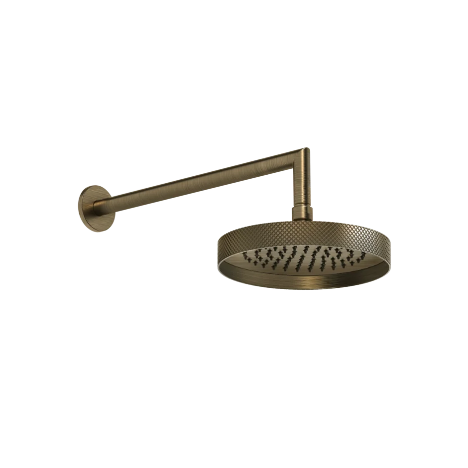 Kopfbrause mit Gelenk und Wandarm 218 Gessi Anello