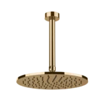 Kopfbrause D250 aus Wand Gessi Ventaglio