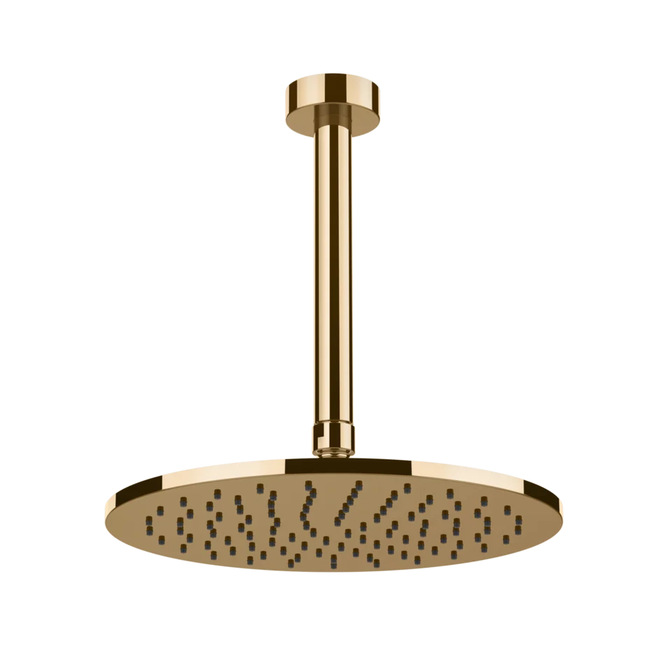 Kopfbrause D250 aus Wand Gessi Ventaglio